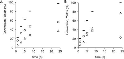 Micro/mesoporous LTL derived materials for catalytic transfer hydrogenation and acid reactions of bio-based levulinic acid and furanics